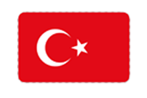 Türkçe